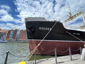 Soldek-151